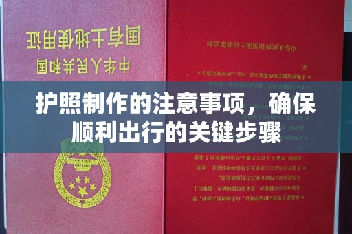 铁岭护照制作的注意事项，确保顺利出行的关键步骤